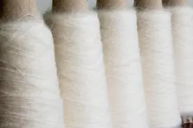 山西亚麻棉混纺纱产品出口孟加拉国图片