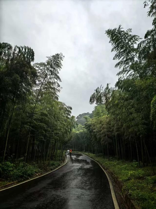 徒步的十大功劳