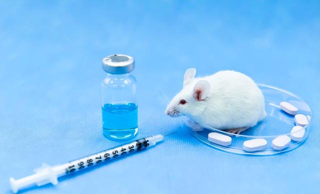 中国空间站迎首批小鼠宇航员，成果突破太空哺乳动物饲养关键技术