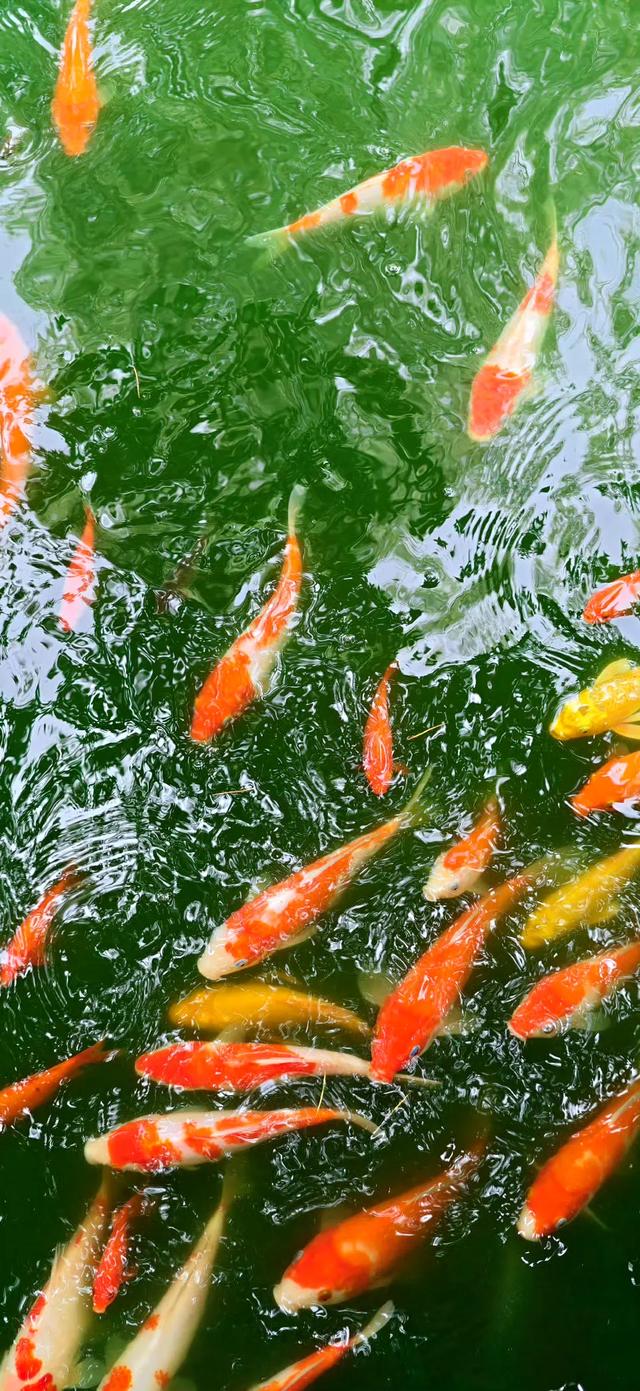风景壁纸