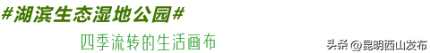 @外地人，不用找了！来昆明旅居锁死西山这三大片区