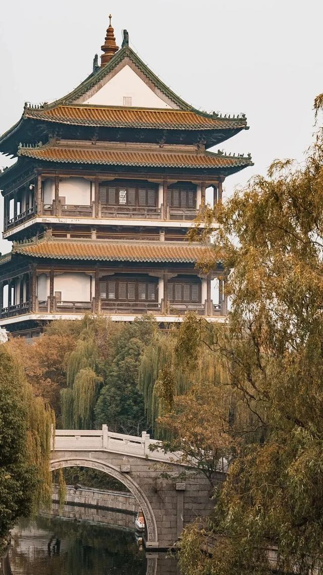 知否知否？应是山东小生！