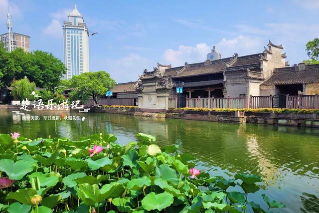浙江宁波最具诗意的风景，荷花亭台相互映衬，古韵盎然景美如画