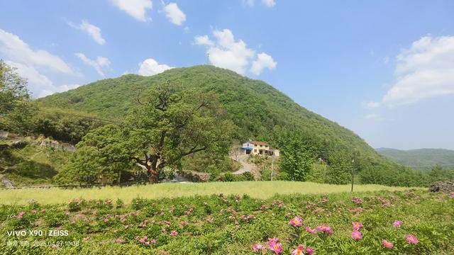 八百里金南漳宝藏线路石桩河村休闲游