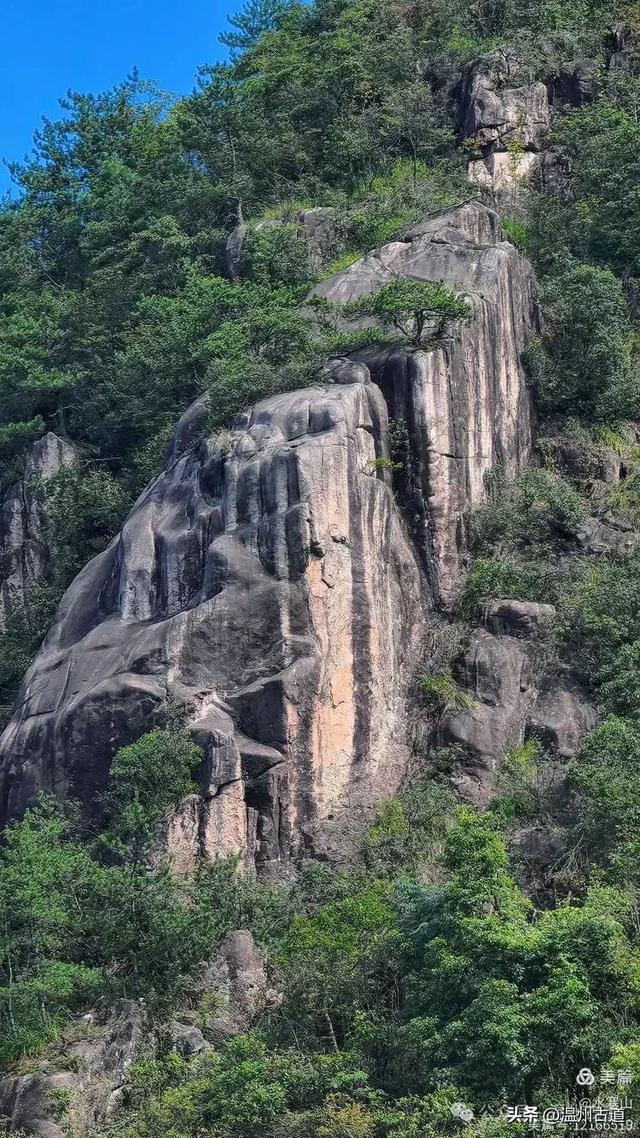 “浙南之巅”竟藏着以奇石景观著称的微缩版三清山,目前免费玩!