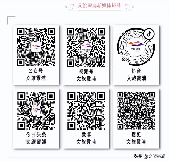 霞浦元素闪耀金鸡！《深海奇遇》携《海错图》IP入围金鸡影展，510公里海岸线藏着世界级美景