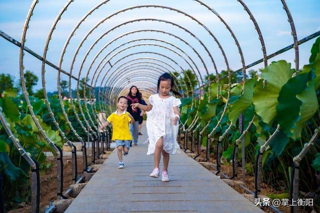湖南衡阳周边赏荷、K歌、遛娃一站搞定，周末冲！