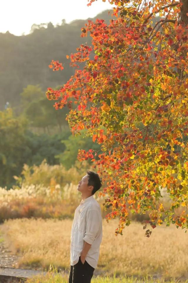 苏州处处的皆景！美！美！美！