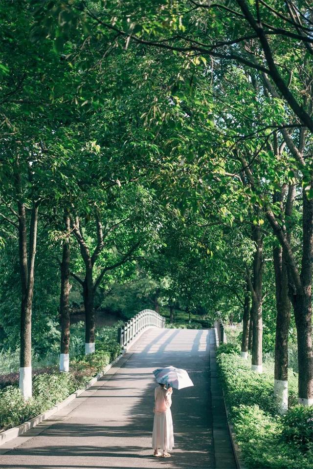 一半是安逸养老，一半是熬夜天堂！这座城冬天有鲜花，凌晨有人潮