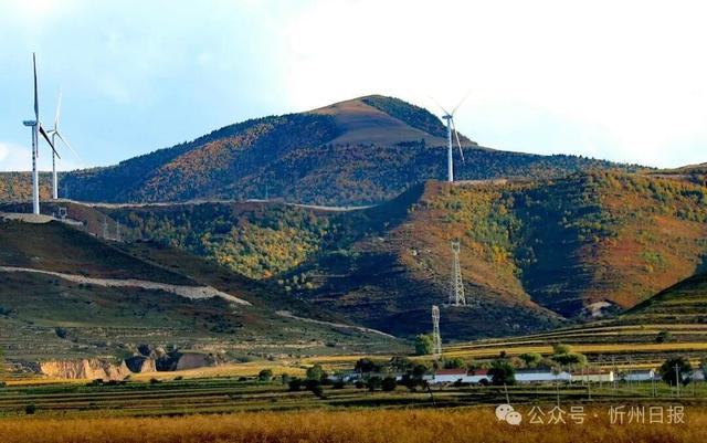 看，是金山梁！