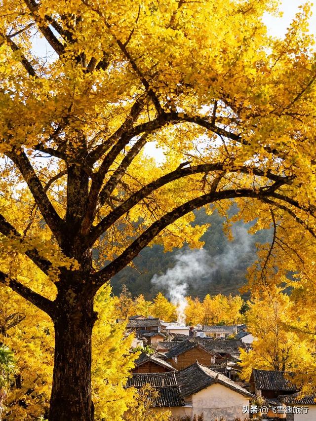 适合冬天一个人去的六个旅行地：与寒冷，也与自己温柔相拥