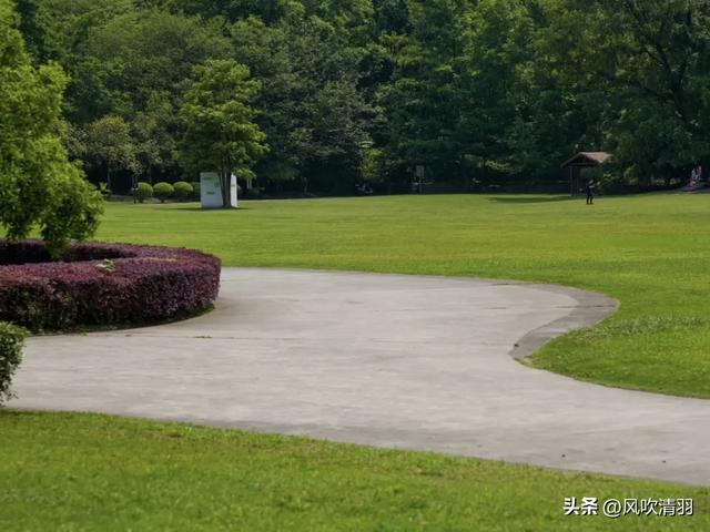 成都一个低调4A级森林公园,有240多年历史,都市人的“后花园”