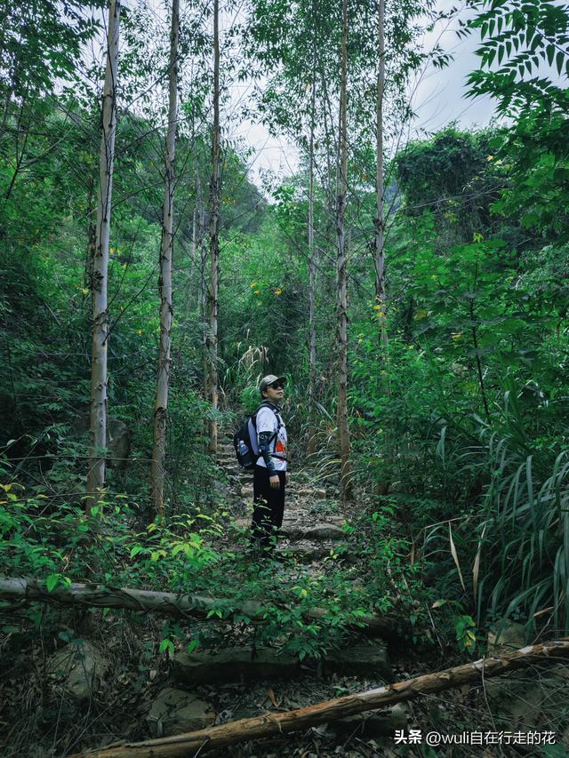 强推！被低估的超小众、新手友好徒步路线，就在福州闽清