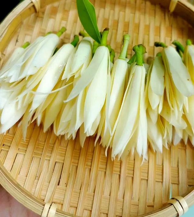 夏日香气｜白兰花