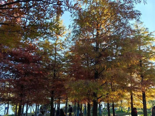 今日立冬！丽江七彩祥云“开场”，冬日还能怎么玩？