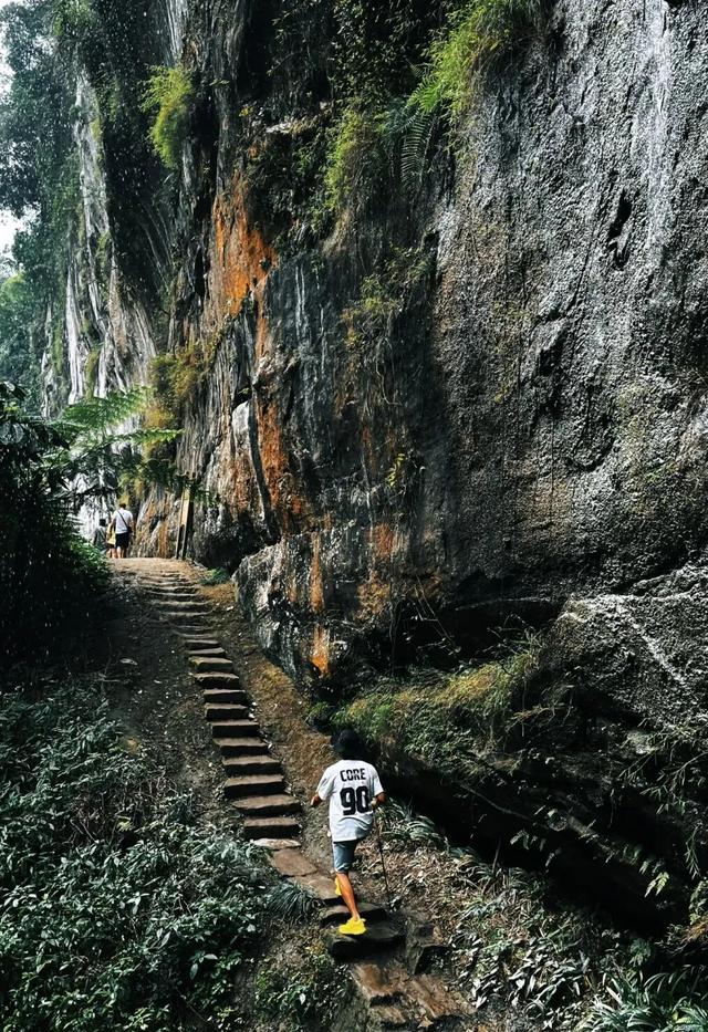 红了！1.5h直达甜味小镇，摘柿漫游徒步峡谷！美食断层第一，更是麻辣烫发源地！