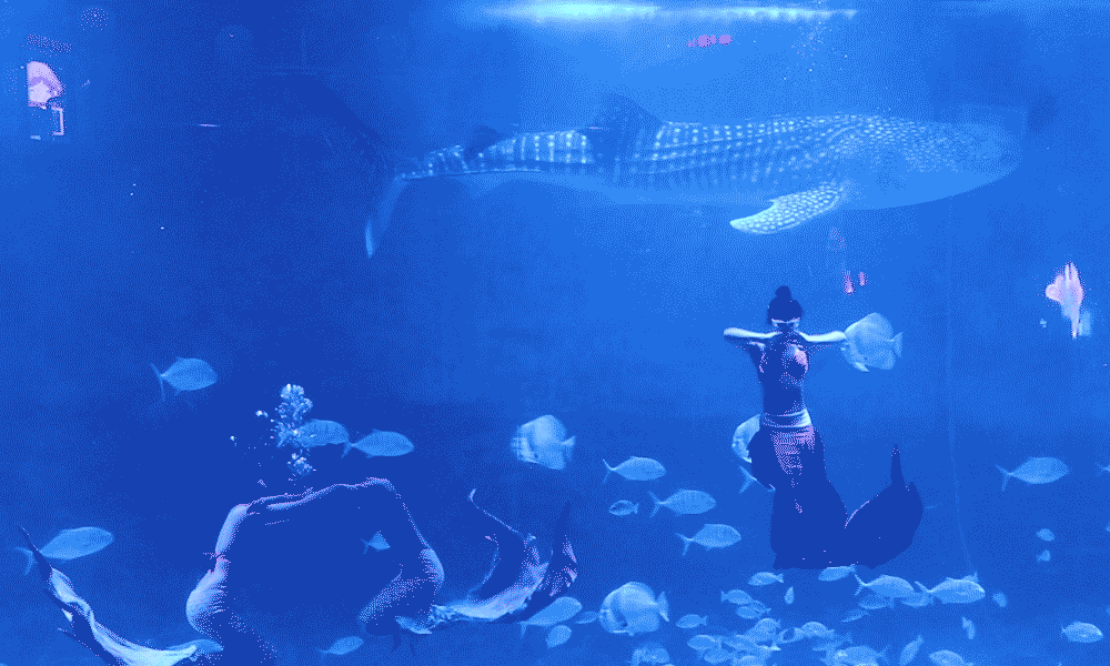 初雪来了！烟台“冰雪世界”美出新高度