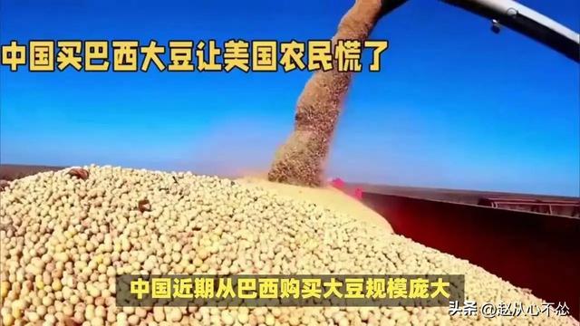 贪心砸了饭碗？巴西硬抬价，中国 130 万吨大豆瞬间流向阿根廷！
