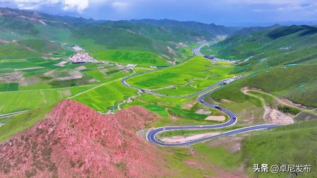 卓尼：油菜花开呈五彩景 夏日高原迎八方宾