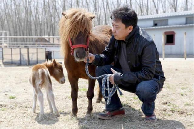 不查不知道一查吓一跳，坐拥北京60亩马场的于谦，私下到底有多壕