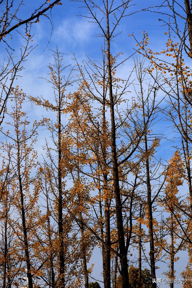 深秋时节，临汾有个富有诗意的好地方！