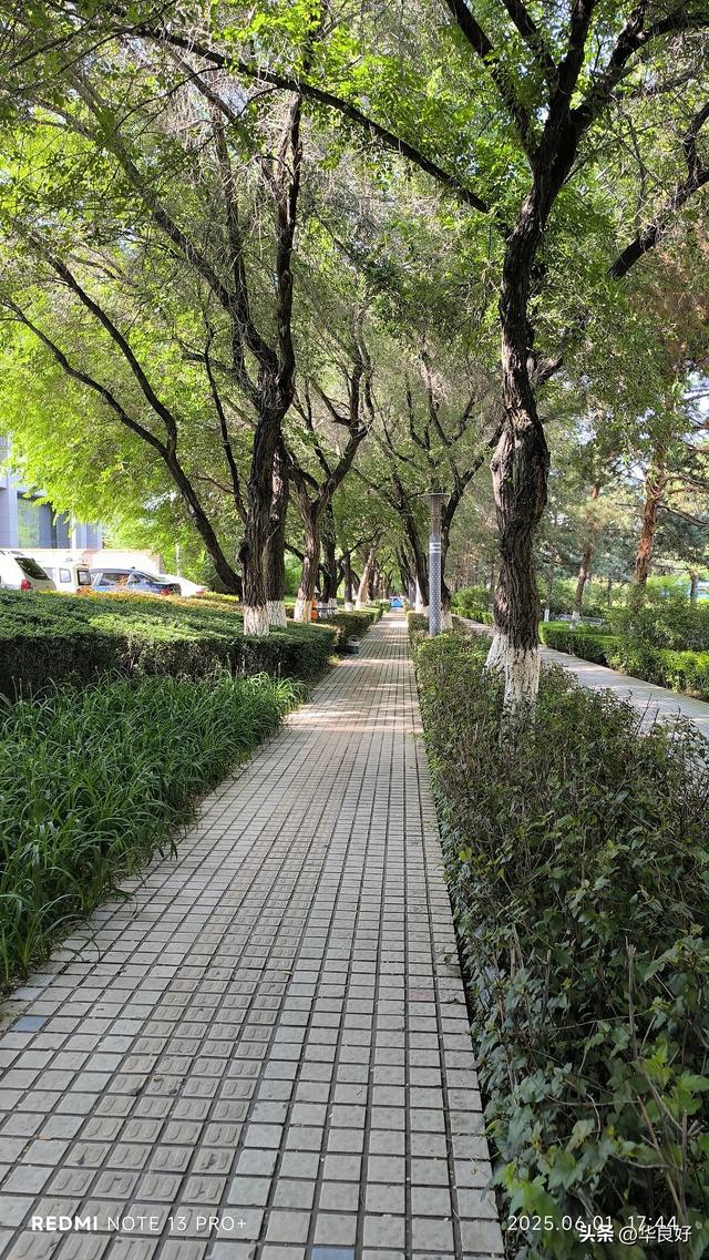 过境奎屯·宁静干净红火的小城——再赴新疆日记之七