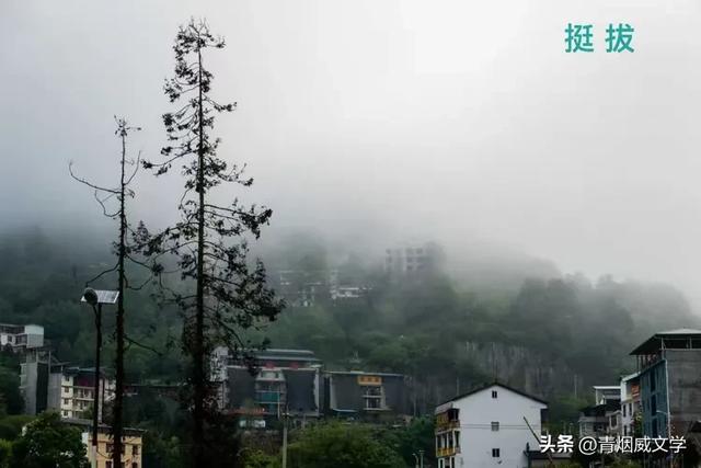 【图韵诗风】江山如此多娇