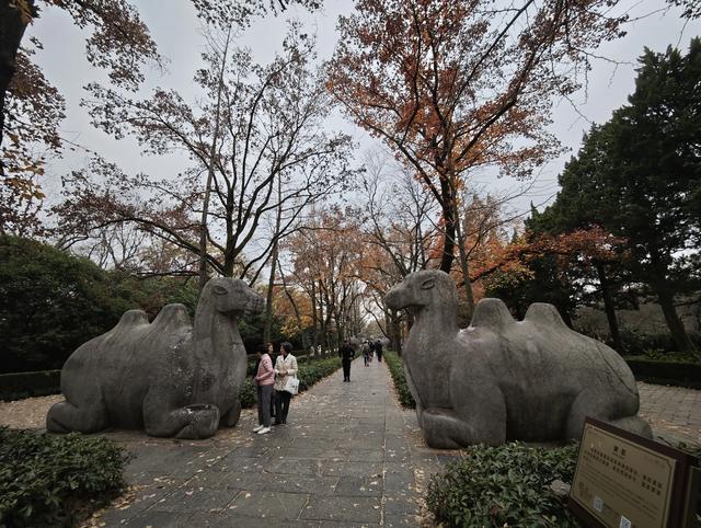 江苏扬州镇江南京五日游