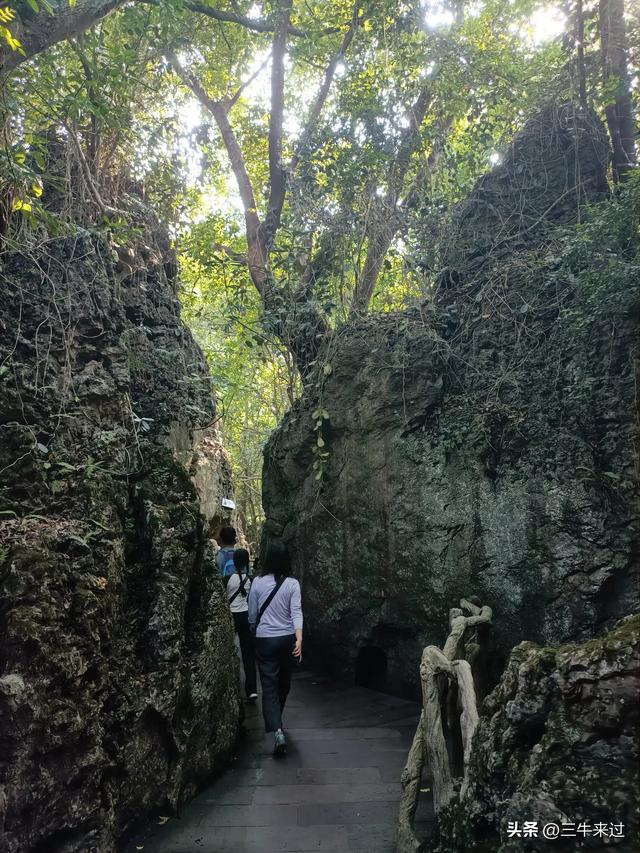 无为在歧路，贵州六日行（8）～黄果树