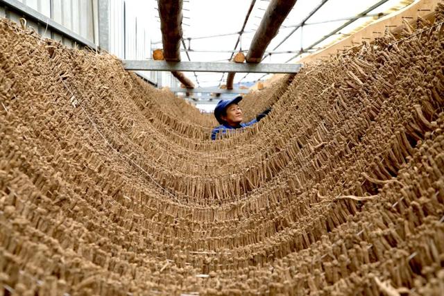 "咔嚓！"→文县