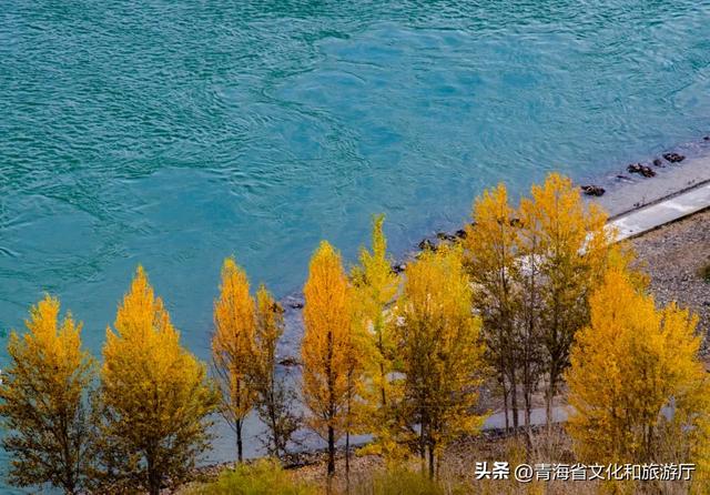 邂逅海南，赴一场斑斓的秋日盛景之约