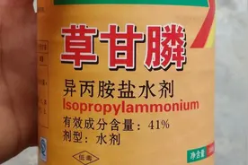 “草甘膦”一款低毒除草剂，灭草原理是内吸性，晴天使用效果更佳图片