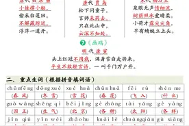 2025新一年级下册语文全册重点知识预习（PDF电子版可下载打印）图片