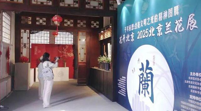 近200盆名兰！颐和园这个免费展览，展出至
