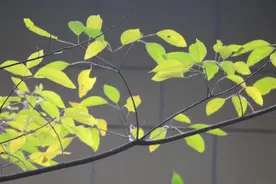 五十多岁的70后，如果你只有一个孩子，要逼自己尽早完成这8件事图片