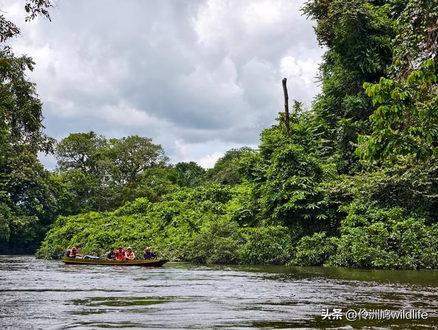马来西亚(29)砂拉越州③姆鲁山清水洞·风洞