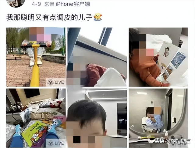 央视通报！河北金某杀妻判死刑，女方想夺遗子抚养权	，却难上加难