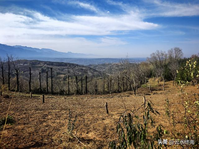 开车到蓝田这个岭上看柿子、观山景、晒暖暖，就是初冬最幸福的事