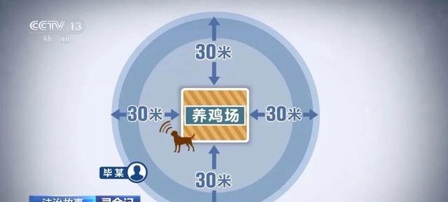男子盗300万黄金，逃跑时把手机遗落在现场：警方凭狗叫声起获