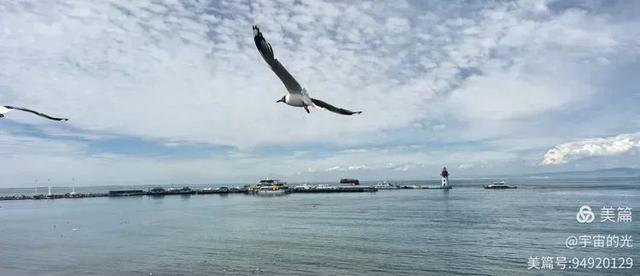 朱宇光 | 青海的湖