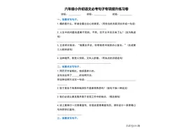 六年级小升初语文必考句子专项提升练习卷（含答案）图片