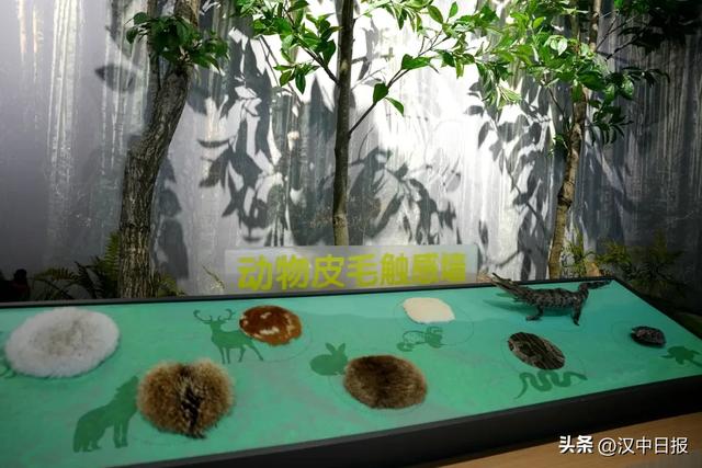 留坝秦岭生物多样性体验馆成热门打卡地