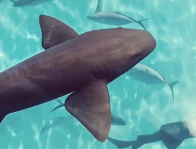 3次事故不说，平台推“极限挑战”，谁在逼我们“玩命打卡”？