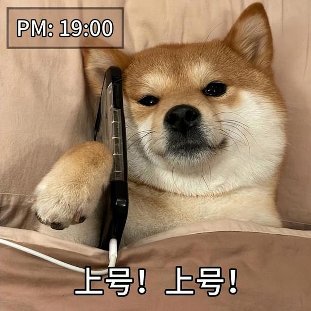 出来抓精灵，讲究的是人情世故