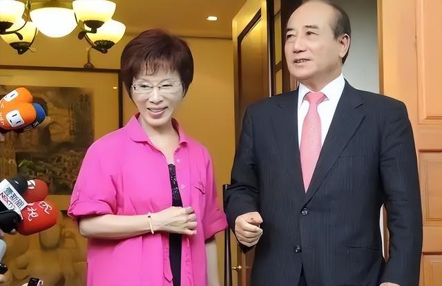 洪秀柱反对统一？看看她这句话，说得多有讲究，网友：现在才懂