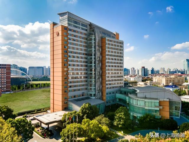 快来杨浦打卡！这条游玩线路有料又出片→