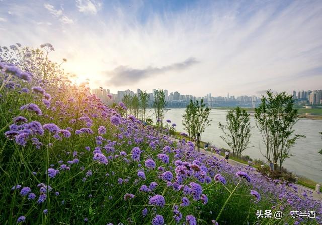 南京市全部区域内免费自驾车停车露营地，主要好玩景点及特色美食