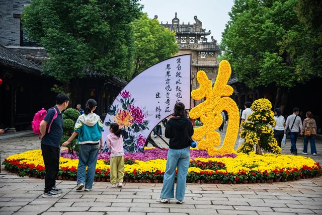 双节限定！菊与古城的千年约会