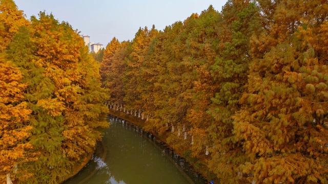 串场河畔，藏着 “橙黄橘绿” 的浪漫暴击~
