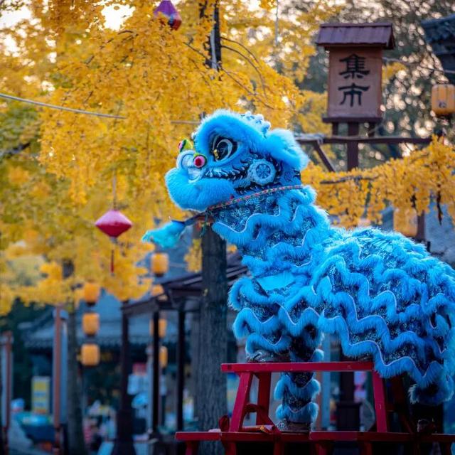 我们把台儿庄古城的秋天“晒”满了朋友圈，温柔了整座古城的初冬